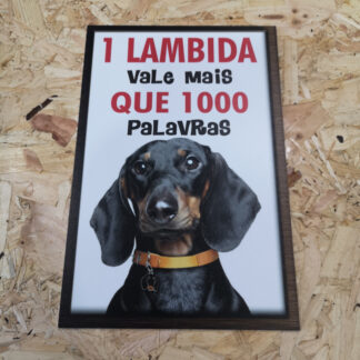 Placa Decorativa em PVC - 1 lambida vale mais que 1000 palavras