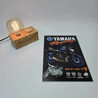 Placa Decorativa em PVC - Yamaha MT-07